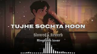 Tujhe Sochta Hoon । Lofi songs। Bollywood songs। Jannat 2। Emraan Hashmi [upl. by Nilrev]