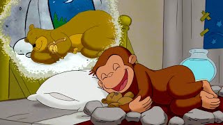 ジョージ、冬眠する！ 🐵 おさるのジョージ [upl. by Akinnor]