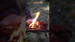 Survival skills Ive been in the woods for 30 days and invented the best forest torch survival [upl. by Enyamert]