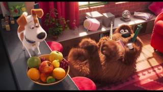 THE SECRET LIFE OF PETS 3 Will Be DIFFERENT [upl. by Ymar]