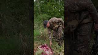 Have you ever lost a deer to a predator deerhunting meateater [upl. by Ebeneser]