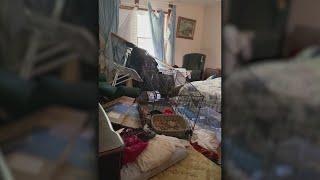 New video shows how elder lived in home with 175 cats [upl. by Sibilla570]