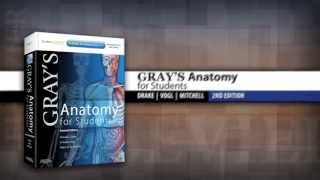 Grays Anatomy for Students 2nd Edition [upl. by Harri]