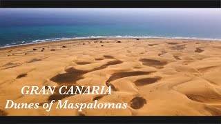 GRAN CANARIA  Dunes of Maspalomas  Top destination  Drone  4K [upl. by Eiduam]