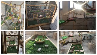 Building The Most Beautiful Aviary Budgie Kingdom [upl. by Neenwahs]