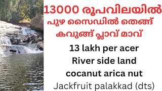 13000 രൂപ വിലയിൽ പുഴ സൈഡിൽ തെങ്ങ് കവുങ്ങ് പാലക്കാട്‌ ജില്ല lowbudjet riverside palakkad cocanut [upl. by Acirema]