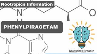 Phenylpiracetam  Nootropics Information [upl. by Eldreeda]