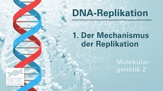 Molekulargenetik 2 DNAReplikation – Bedeutung und Mechanismus MeselsonStahlVersuch [upl. by Cagle]