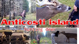 Anticosti Island hunting deer 𝐐𝐔𝐄𝐄𝐍𝐉𝐄𝐙𝐀𝐁𝐄𝐋 [upl. by Warden896]