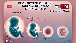 Development of Baby 👶 During Pregnancy Step by stepBiology Bhargowclasses1020 education abss [upl. by Aigneis644]