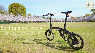 桜の下でポタリング「折りたたみ自転車でのんびり春を感じる」｜自転車のある旅。 [upl. by Neely]