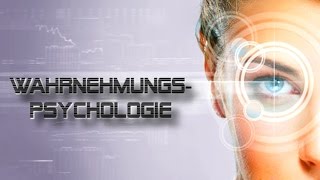 Wahrnehmungspsychologie Experiment  Kannst Du Deinem Gehirn immer vertrauen [upl. by Barboza57]