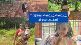 എന്റെ വീട്ടിലെ വിശേഷങ്ങള്‍ Ammayude krishyum pinne kurachu naatu visheshangalum Vlog Malayalam [upl. by Medorra]