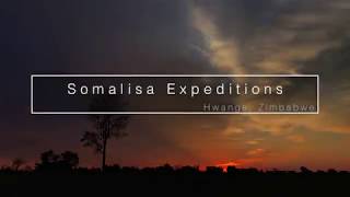 Somalisa Expeditions [upl. by Kenric]