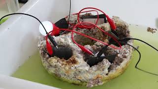 Mycelium microalgae symbiotic floating power generation device [upl. by Chenay]