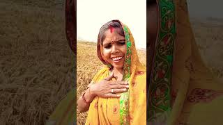 Savan ke Geet Bhojpuri bollywood song music [upl. by Pasco]