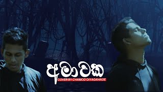 Amawaka අමාවක  King Lotuss x Dilu Beats  Cover by Chamod Diyagahage [upl. by Madox659]