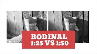 Rodinal 125 vs 150 [upl. by Ranit]