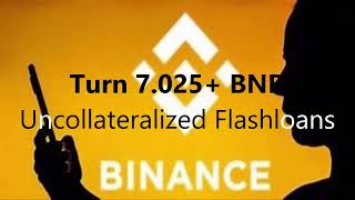 Unlock Uncollateralized Flashloans Turn 7025 BNB into Arbitrage Profit [upl. by Falito]