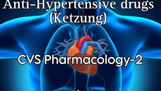 Hypertensive emergency Hypertensive urgency Malignant hypertension and causes of HTN [upl. by Markus219]