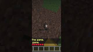 I am playing Minecraft just kidding [upl. by Danette279]