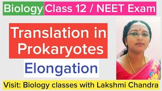 Translation in Prokaryotes Elongation  Class 12 Biology  NEET Biology [upl. by Akerdal]