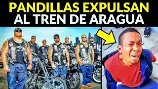 PANDILLAS DE ESTADOS UNIDOS SE UNEN PARA EXPULSAR AL TREN DE ARAGUA [upl. by Xeno928]