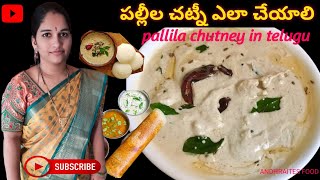 How to Make Delicious Pallila Chutney at Home  Pallila Chutney in Telugu 😜🔥 [upl. by Kramer823]