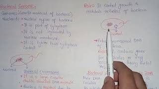 Bacterial Genome  Nucleoid Structure And Functions  Class 11 [upl. by Murry882]