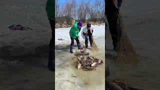 Beautiful Ice Fishing Skill short fishing [upl. by Castillo]