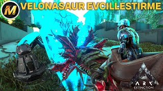 VELONASAUR EVCİLLEŞTİRME I ARK SURVİVAL EVOLVED EXTİNCTİON I BÖLÜM 6  MODSUZ [upl. by Ecilef]