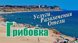 Грибівка 2022  Інформацію уточнюйте [upl. by Meras]