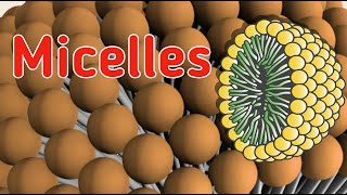 Micelles  Formation of Micelles  Role of micelles [upl. by Ettegdirb]