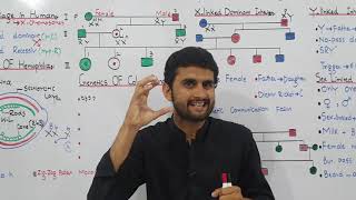 Ch22 Lec27 XLinked Dominant Inheritance UrduHindi Lecture Fsc MDCAT NCERT M Bilal Chaudhary [upl. by Llenhoj]