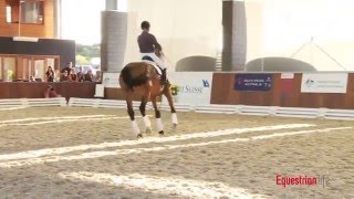 Rudolf Zeilinger and Lone Jorgensen Riding at the Credit Suisse Boneo Park Equestrian Festival [upl. by Sseb]