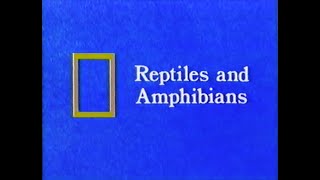 National Geographic Reptiles and Amphibians 1968  1989 VHS [upl. by Drarej339]