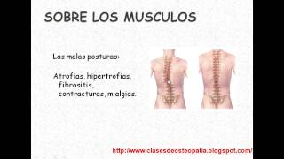 OSTEOPATIA 1FUNDAMENTOS DE OSTEOPATIAmp4 [upl. by Anjela830]