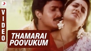 Water Packet  Video Song  RAAYAN  Dhanush  Sun Pictures  AR Rahman  Santhosh Narayanan [upl. by Ramalahs]