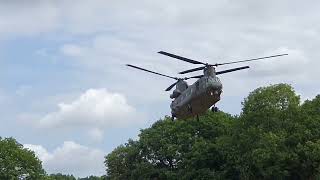 chinnock landing at Capel Military show [upl. by Rialcnis]