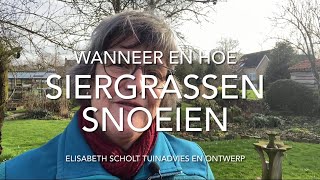 Wanneer en hoe SIERGRASSEN snoeien [upl. by Sev]