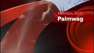 Namibia 4X4 Road Trip 2021 2 Palmwag Area [upl. by Akahs741]