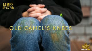 June 16 2024  Old Camels Knees [upl. by Arand]