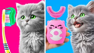 Cómo cuidar a tu mascota 😼 Gadgets y TRUCOS para dueños de mascotas [upl. by Znerol]