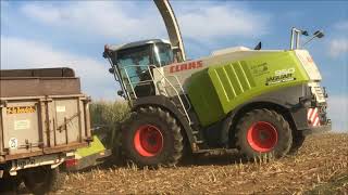 Début saison ensilage de maïs en Alsace le 4 Août 2018 [upl. by Ahsit166]