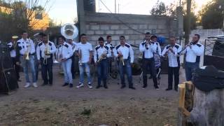 Banda La Mera Reina De ZacatecasArriba Pichataro y Pichatarito [upl. by Savinirs540]