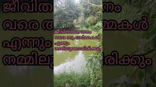 Swantham swantham balyathiloode [upl. by Vel95]