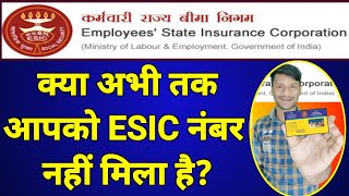 How to Search ESIC By Name  अपना esic नंबर कैसे पता करें  Search ESIC By Name  Search ESI By Name [upl. by Leahcir]