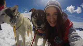 Dog Sledding  Skagway Alaska [upl. by Yngiram]