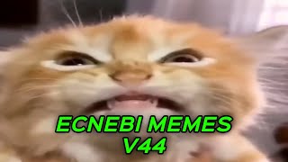 ECNEBI MEMES V44 [upl. by Fabria]