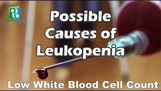 Possible Causes of Leukopenia [upl. by Nofpets]